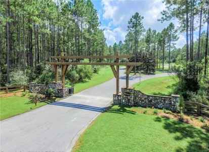 BRISTLE CONE DR