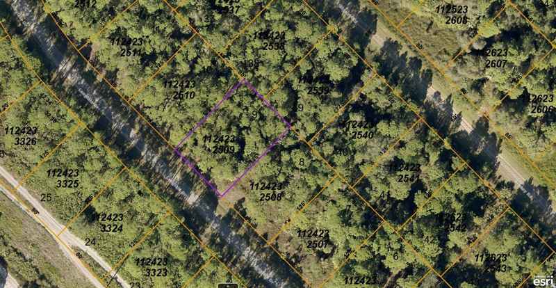 1124232509 LANGLAIS DR