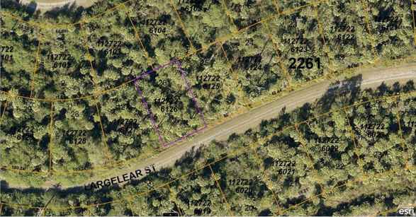 1127226126 LARGELEAF ST