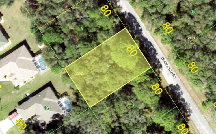 1343 HAMMACHER LN