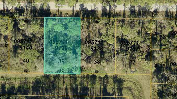 0957119139 BOYD AVE
