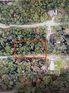 NE 162ND LN