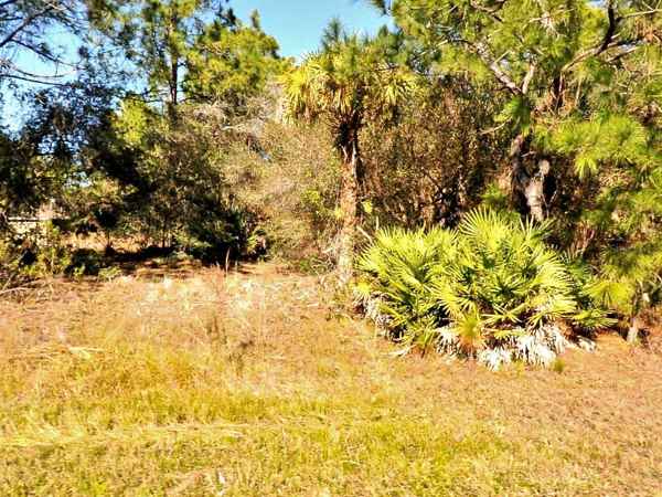 TASCO LOT #10 DR