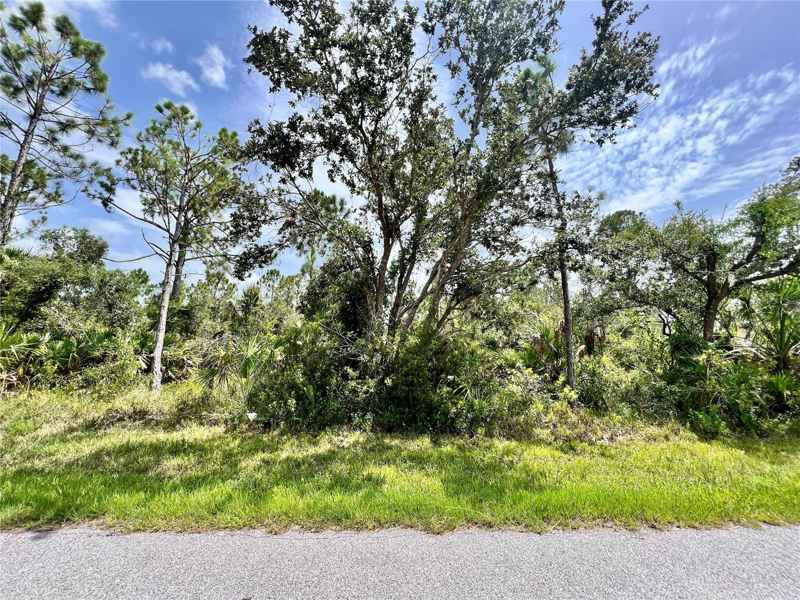 13377 JOHANNES AVE