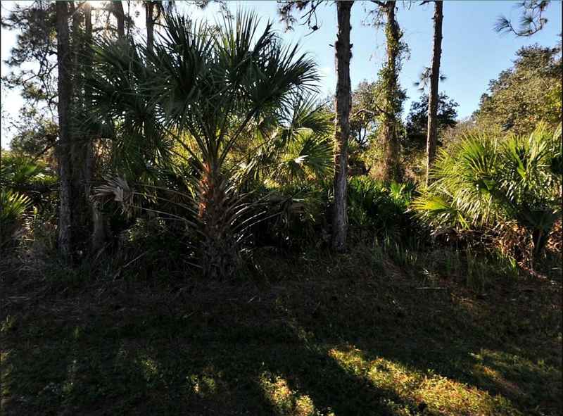 LOT 17 RUIZ ST