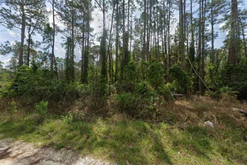 105 PINE CONE DR
