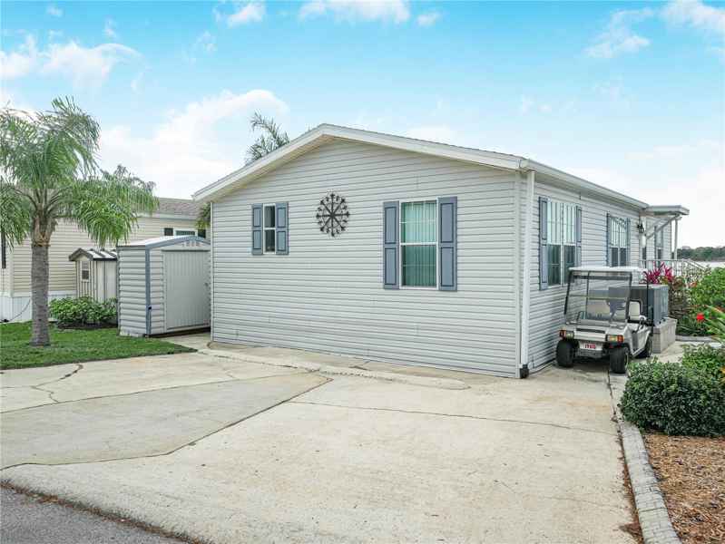 19 GINGER QUILL CIR