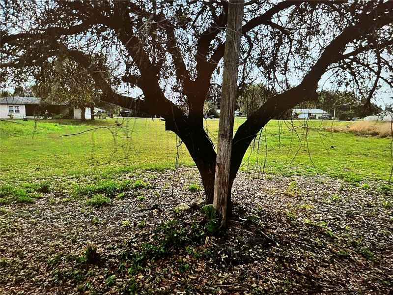 LOT 62&63 HERNANDO RD