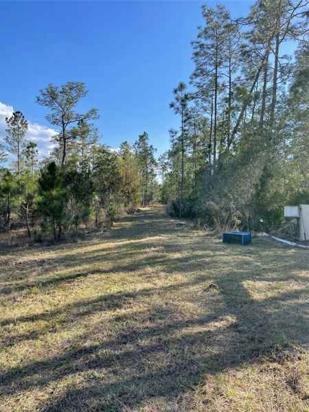 4685 MAGNOLIA RD