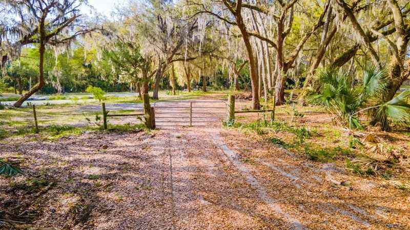 480 CLINTON CEMETERY RD