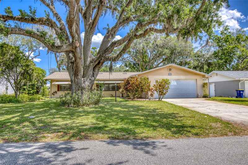 1855 PINE TREE DR