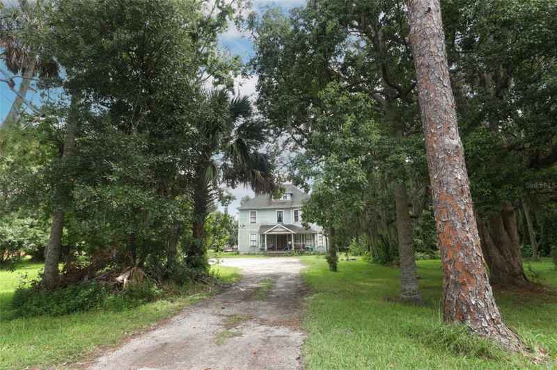 2341 CELERY AVE