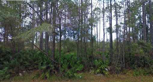 NE 65TH AVE