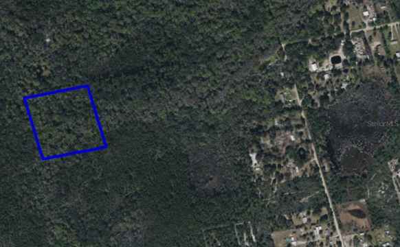 095 PINE NEEDLE RD