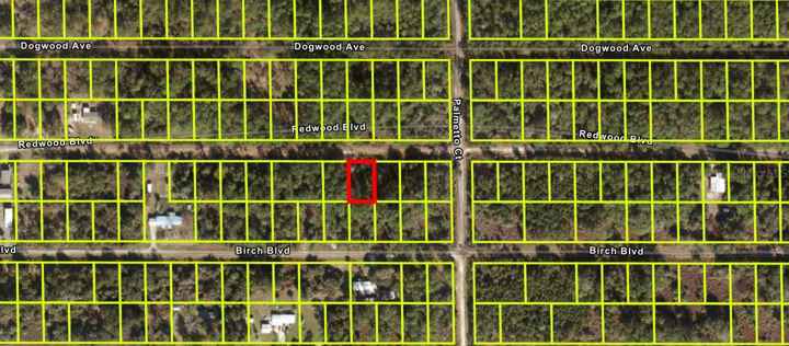 333 REDWOOD BLVD