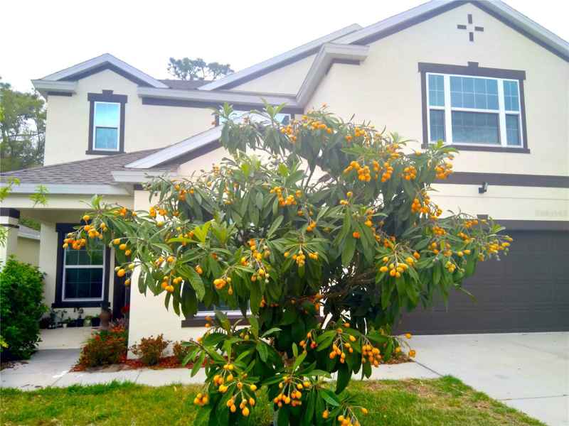 14120 WATERFORD CREEK BLVD