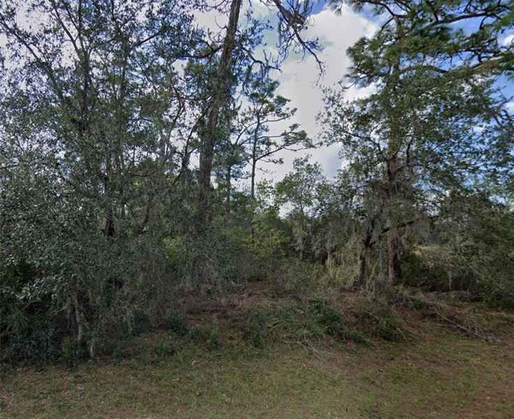 1335 ST AUGUSTINE CT