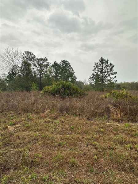 TBD SW 59 AVE