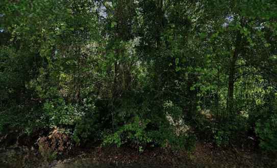6810 VANDA PL