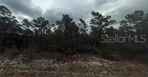 448 QUAIL AVE