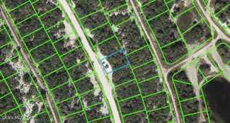 217 Hopedale DR