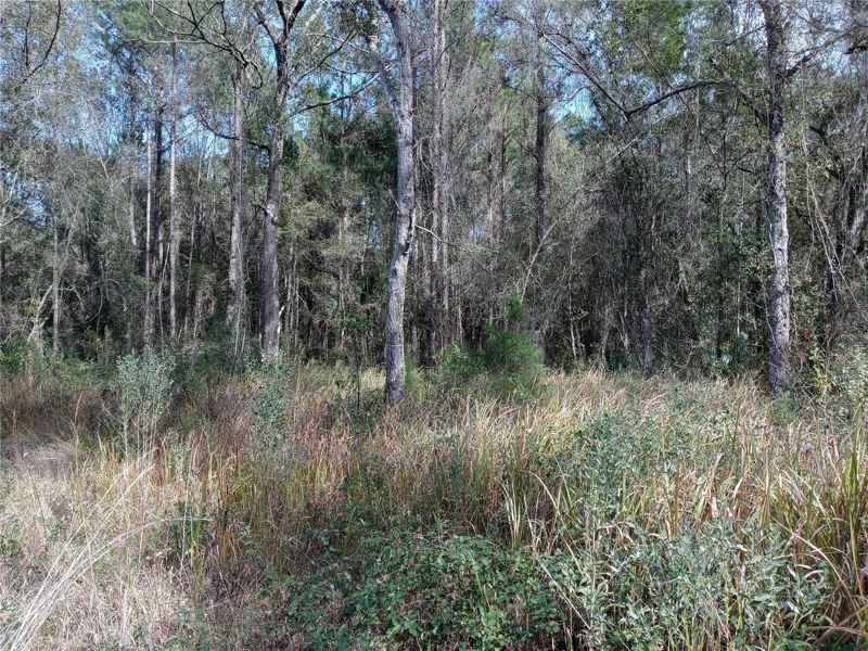 00 E HWY 316