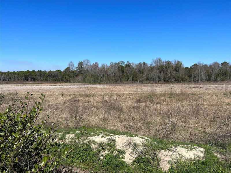 LOT 5A E HWY 318