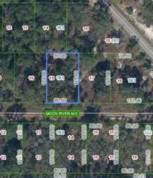 344 MOON RIVER AVE