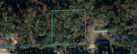 285 PINE DR