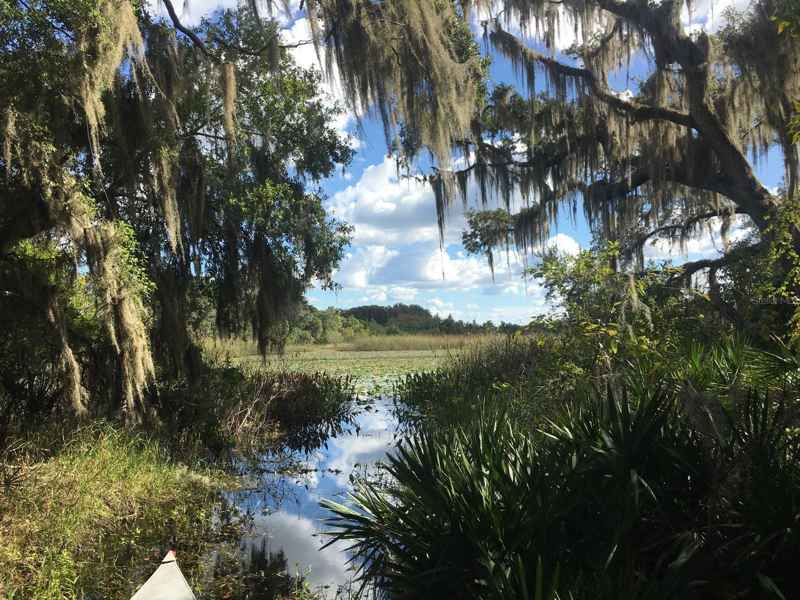 2350 LAKE TSALA APOPKA ST