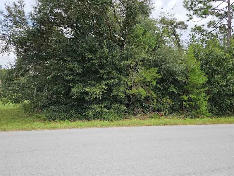 Lot 13 SW 156TH CT