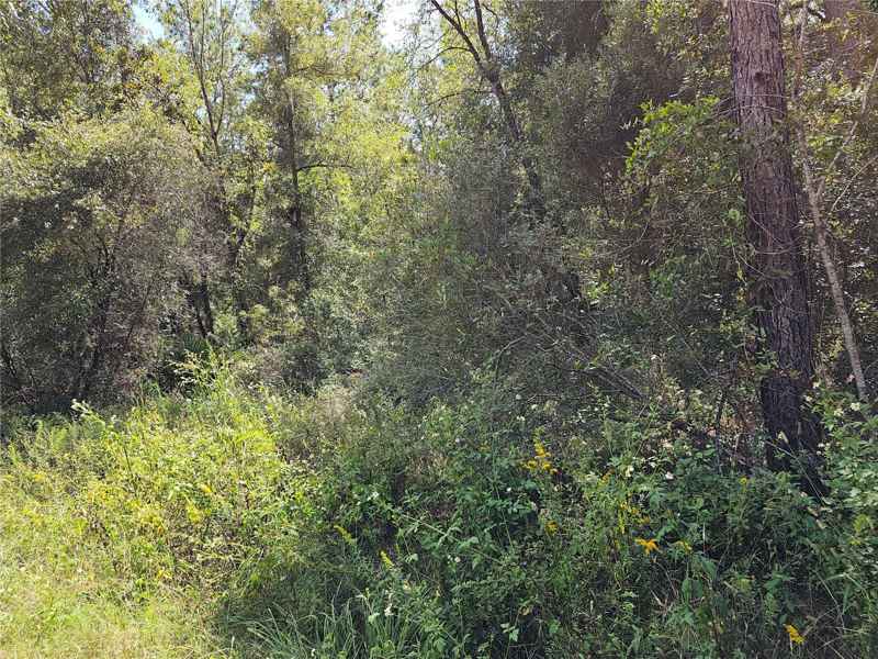 Lot 14 SW 156TH CT