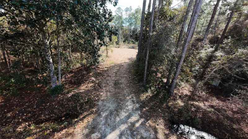 LOT 6 BLOCK 115 S 8TH ST