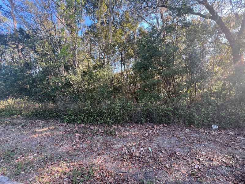 NE 14TH ST
