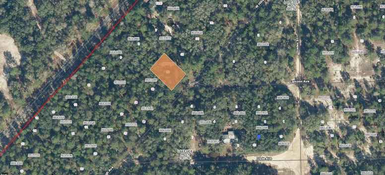 118 W HILLSBOROUGH AVE