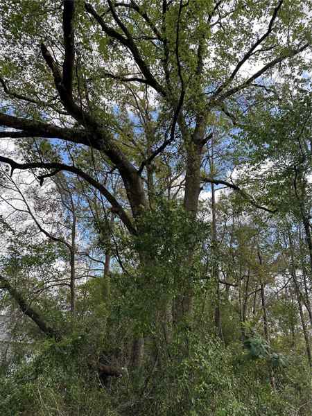 00 SW 193 CIR