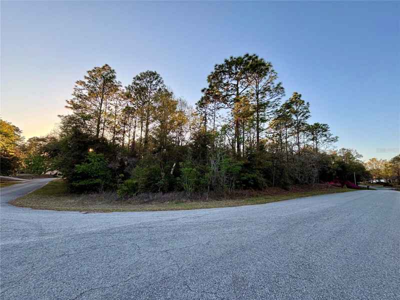 Lot 33 SW 97 PL