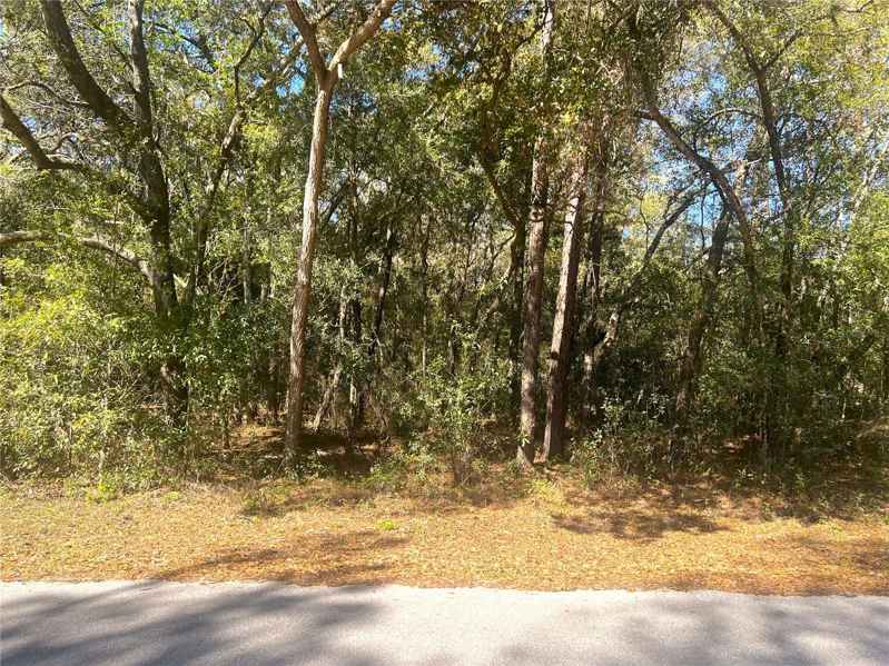 0000 SW 199 COURT CT