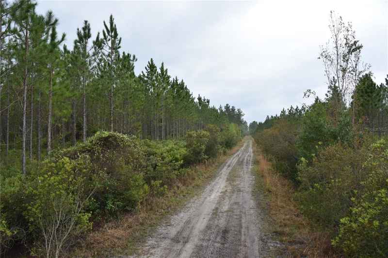 OFF HWY 225