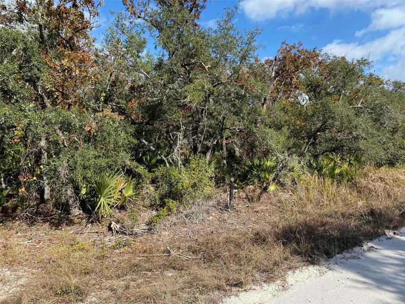 579 TURKEY OAK TRL