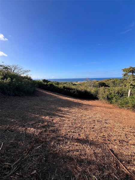 652 VILLA BORINQUEN