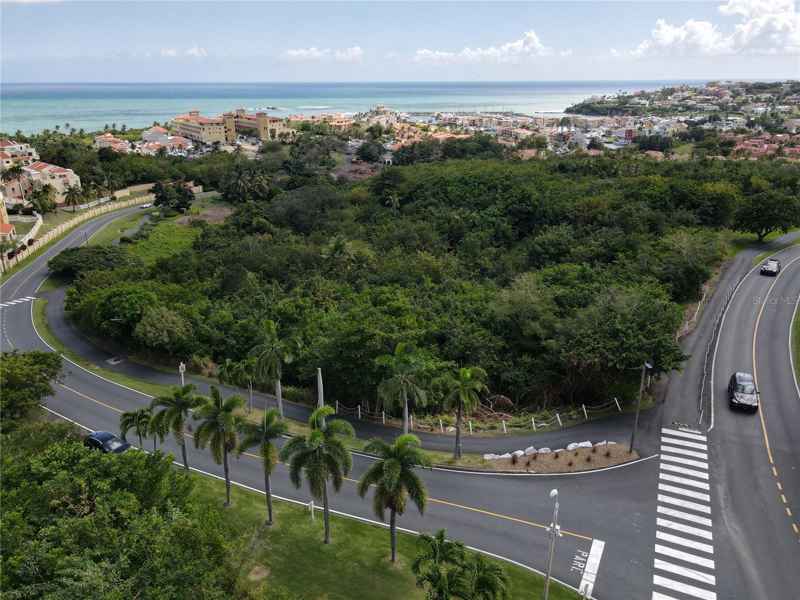 PALMAS DRIVE