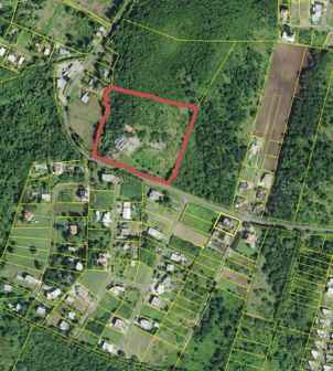 307 PEDERNALES WARD