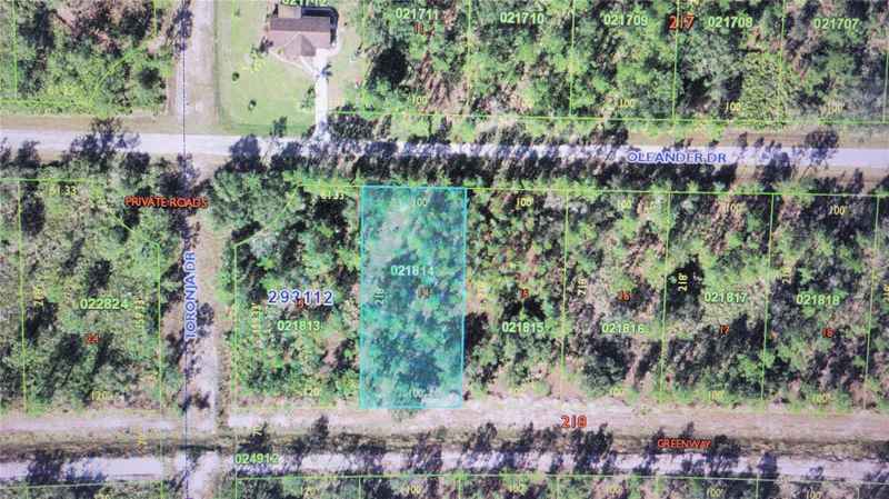 OLEANDER DR