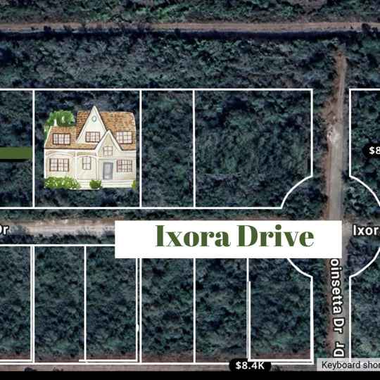 2810 IXORA DR