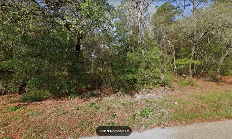 9212 N CORTLANDT DR