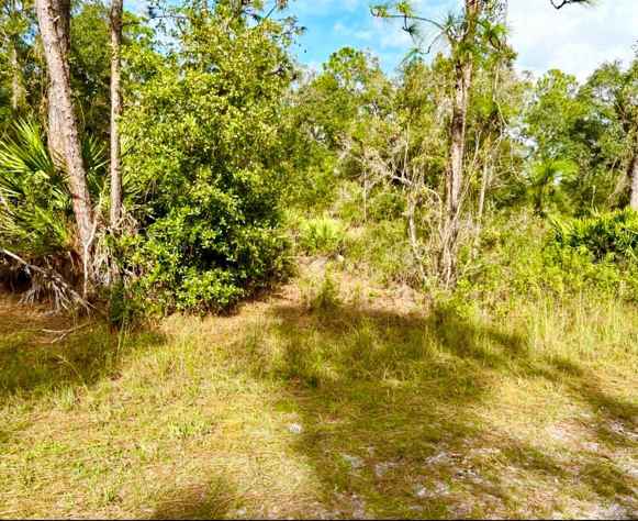 OLEANDER DR