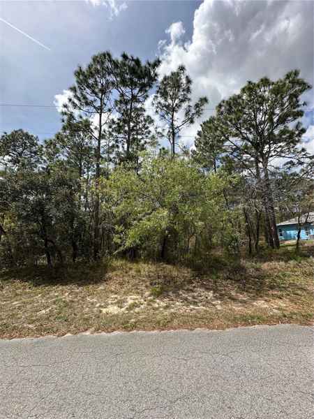 2 FRINGETREE CT