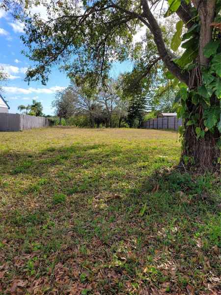 1907 CUTTY BAY CT