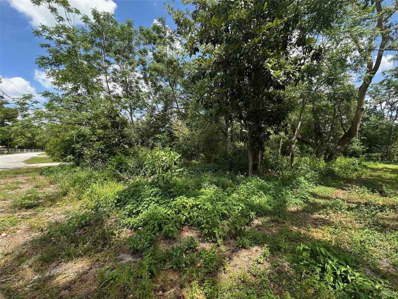7541 GORDON LOOP